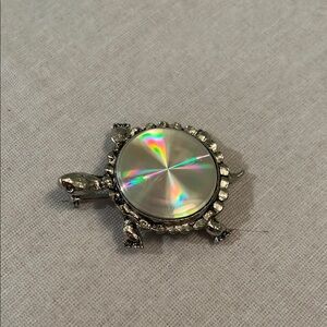 Silver Turtle Brooch with Iridescent Shell